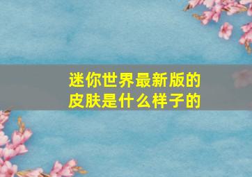 迷你世界最新版的皮肤是什么样子的