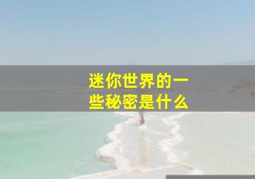 迷你世界的一些秘密是什么