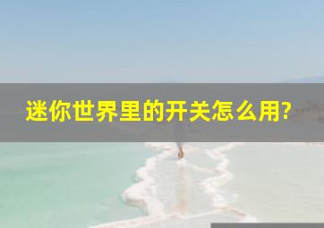 迷你世界里的开关怎么用?