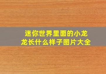 迷你世界里面的小龙龙长什么样子图片大全