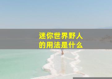 迷你世界野人的用法是什么