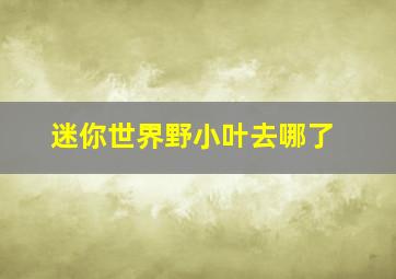 迷你世界野小叶去哪了