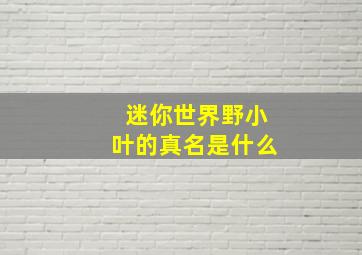 迷你世界野小叶的真名是什么