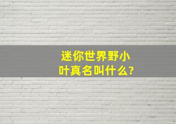 迷你世界野小叶真名叫什么?