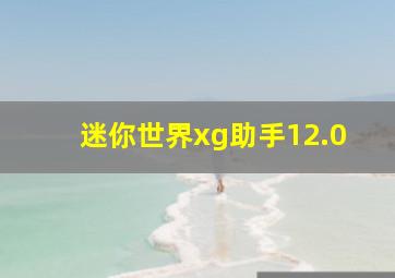 迷你世界xg助手12.0