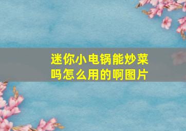 迷你小电锅能炒菜吗怎么用的啊图片