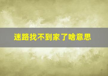 迷路找不到家了啥意思