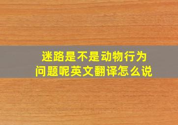 迷路是不是动物行为问题呢英文翻译怎么说