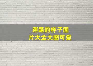 迷路的样子图片大全大图可爱