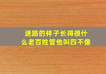 迷路的样子长得很什么老百姓管他叫四不像