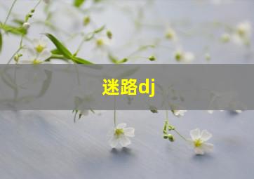 迷路dj