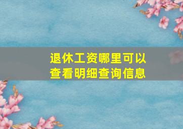 退休工资哪里可以查看明细查询信息