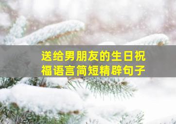 送给男朋友的生日祝福语言简短精辟句子