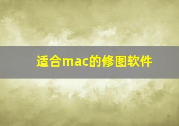 适合mac的修图软件