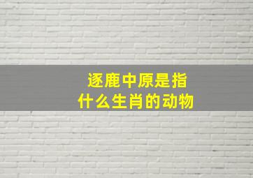 逐鹿中原是指什么生肖的动物