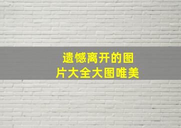 遗憾离开的图片大全大图唯美