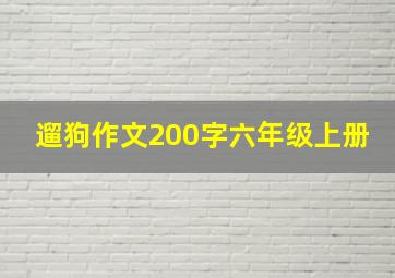 遛狗作文200字六年级上册