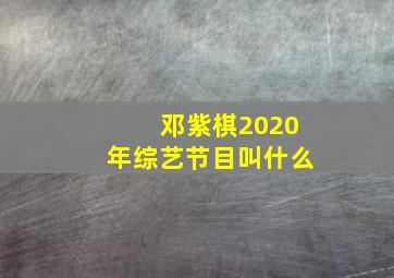 邓紫棋2020年综艺节目叫什么