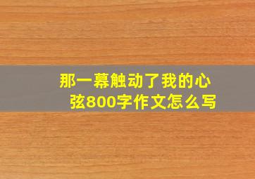 那一幕触动了我的心弦800字作文怎么写