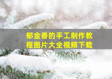 郁金香的手工制作教程图片大全视频下载