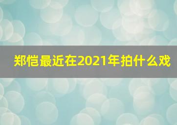 郑恺最近在2021年拍什么戏