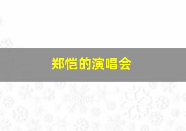 郑恺的演唱会