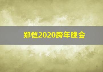 郑恺2020跨年晚会