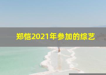 郑恺2021年参加的综艺