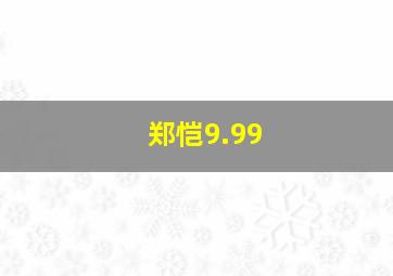 郑恺9.99