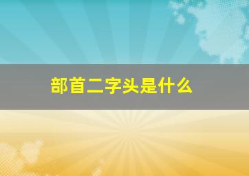 部首二字头是什么