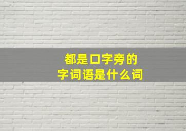 都是口字旁的字词语是什么词