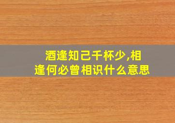 酒逢知己千杯少,相逢何必曾相识什么意思