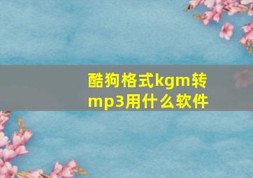 酷狗格式kgm转mp3用什么软件