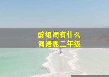 醉组词有什么词语呢二年级