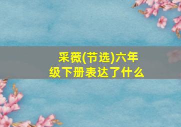 采薇(节选)六年级下册表达了什么