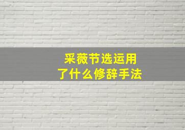 采薇节选运用了什么修辞手法