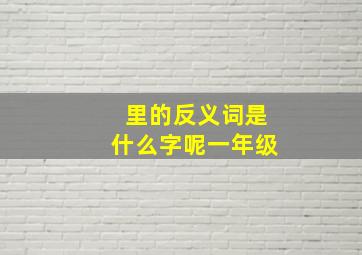 里的反义词是什么字呢一年级