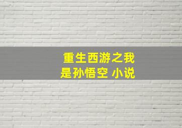 重生西游之我是孙悟空 小说