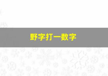 野字打一数字