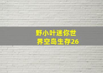 野小叶迷你世界空岛生存26