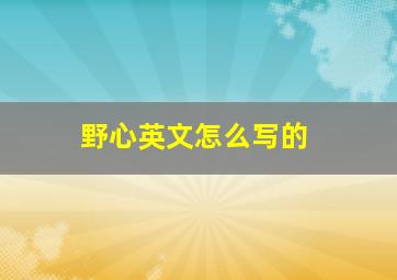 野心英文怎么写的