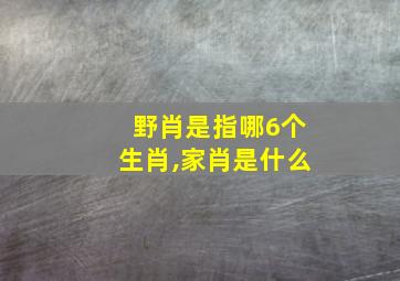 野肖是指哪6个生肖,家肖是什么