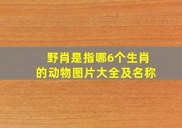 野肖是指哪6个生肖的动物图片大全及名称