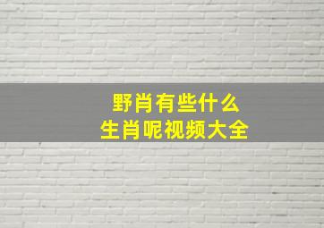 野肖有些什么生肖呢视频大全