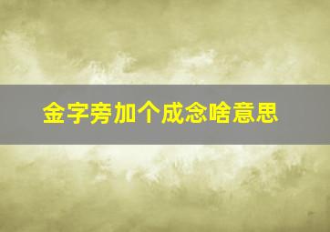 金字旁加个成念啥意思