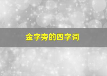 金字旁的四字词