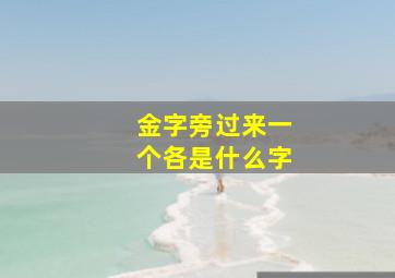 金字旁过来一个各是什么字