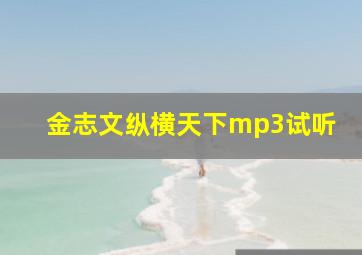 金志文纵横天下mp3试听