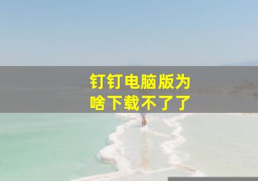 钉钉电脑版为啥下载不了了