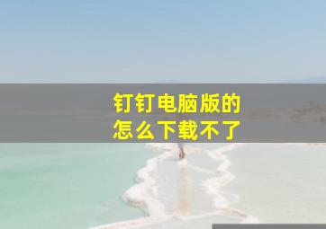 钉钉电脑版的怎么下载不了